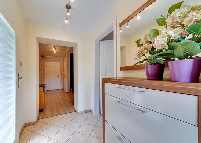 W Starym Sadzie By Interhome 公寓 弗罗茨瓦夫